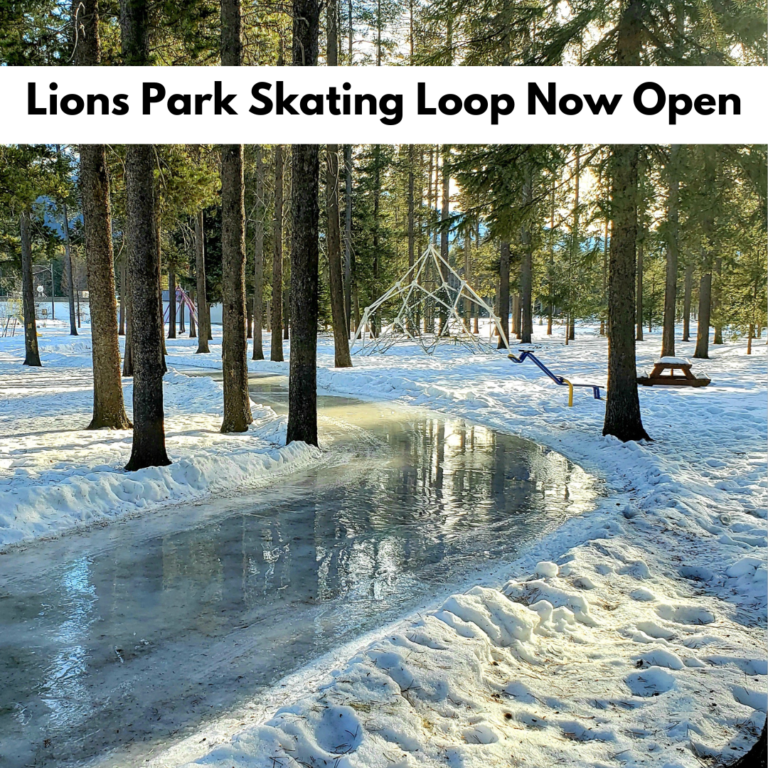 Lions Park Skating Loop Now Open District of Sparwood